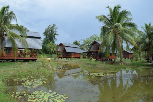 plantage frederiksdorp cabana's plantage Frederiksdorp Suriname luxe cabana's