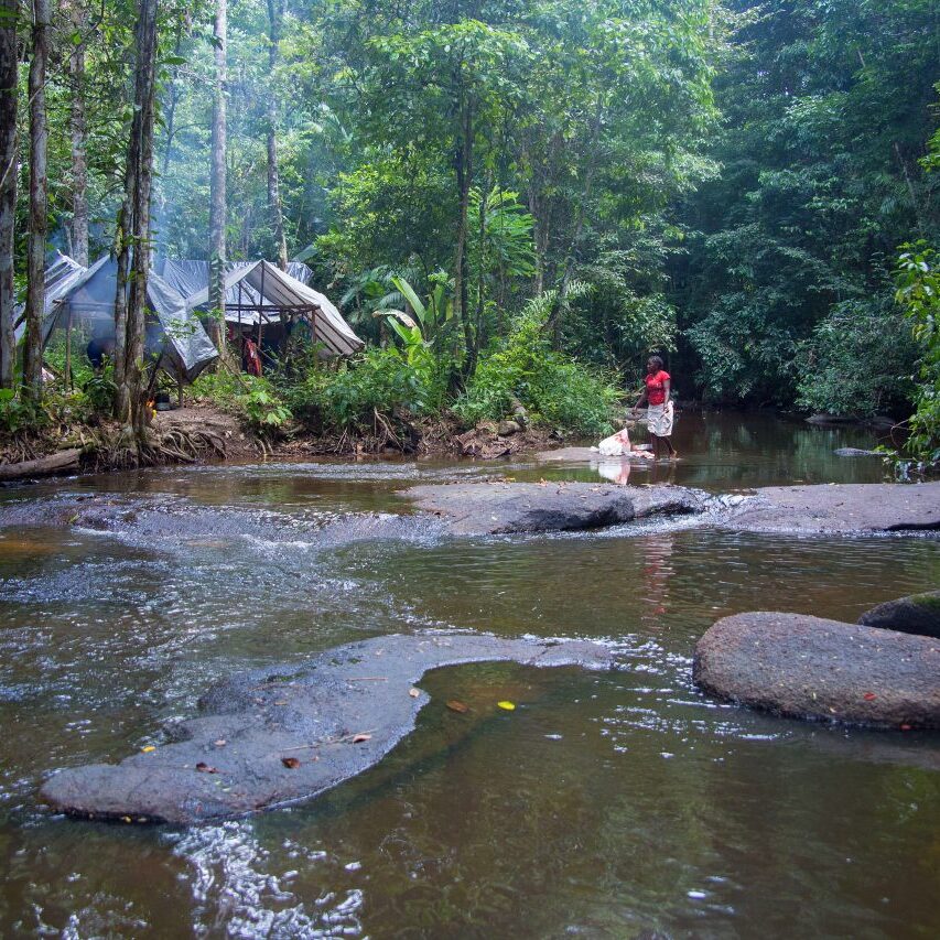 pingpe jungle suriname fotostudio vlekke
