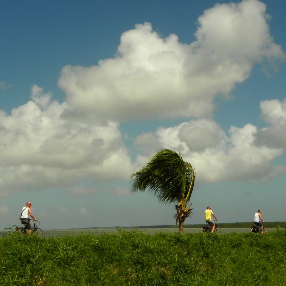 tour fietsen suriname
