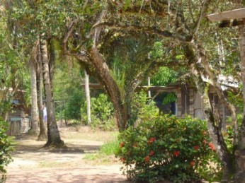 -Kraboe olo een rustig dorpje kraboe olo dorpje