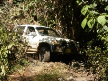 jeep jungle suriname