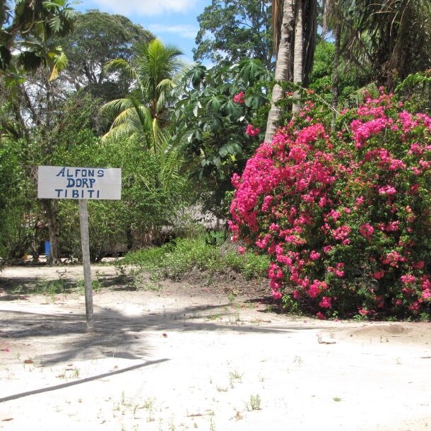 avanavero jungle avontuur strand