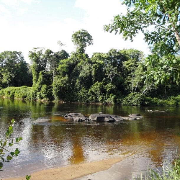 awarradam suriname