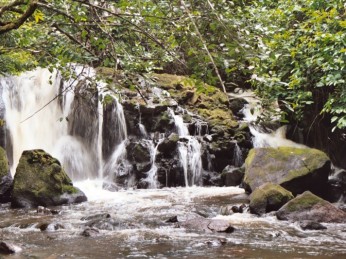 waterval suriname natuur