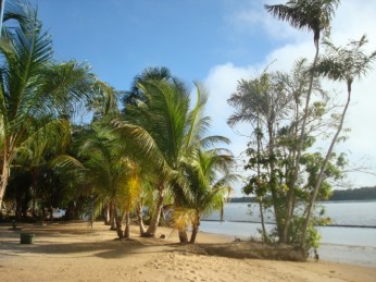 strand rivier suriname