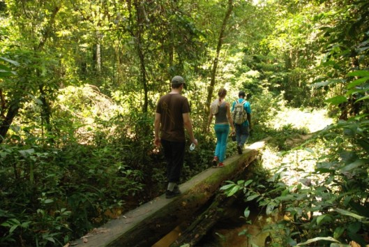 pingpe jungle wandeling