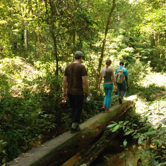 pingpe jungle wandeling