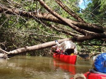 varen kano jungle suriname