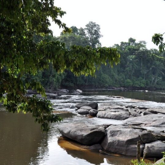 Pingpe Resort Uitzicht Suriname Rivier