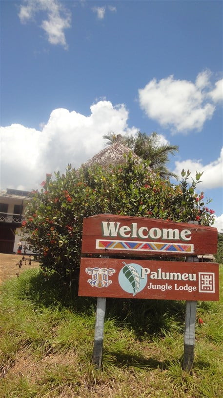 jungle resort palumeu