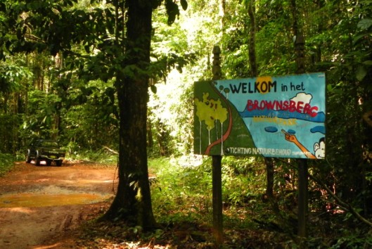 brownsberg natuurpark welkom