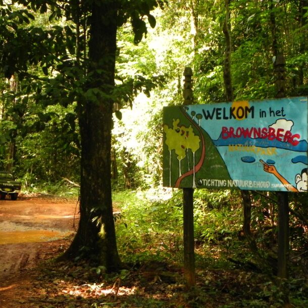 brownsberg natuurpark welkom