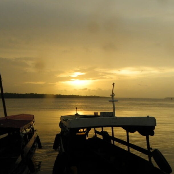 dolfijnen sunset suriname