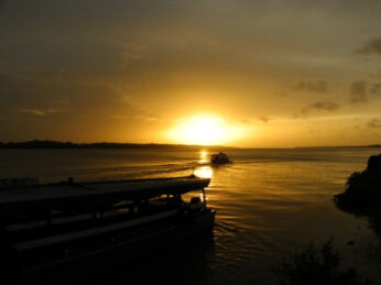 dolfijnen zonsondergang suriname