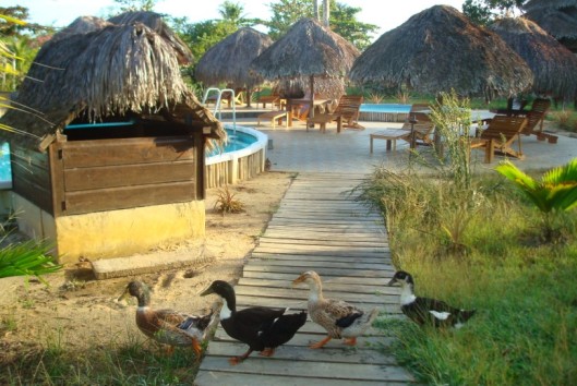 hotel de plantage vogel