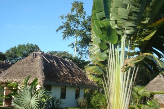 hotel de plantage suriname