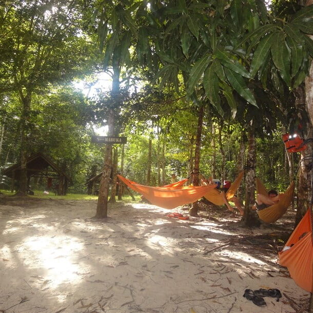 mabukuvallen palumeu suriname