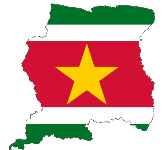 Suriname flag
