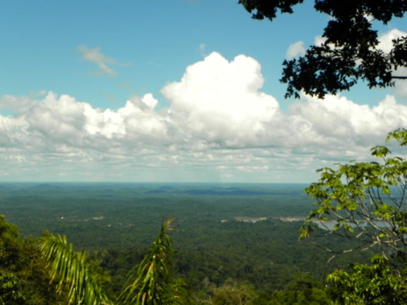 natuurgebied uitzicht suriname