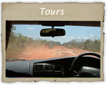 landing tours suriname