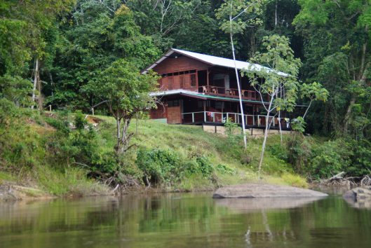 Gonini Lodge - Fungu eiland gonini lodge raleighvallen suriname