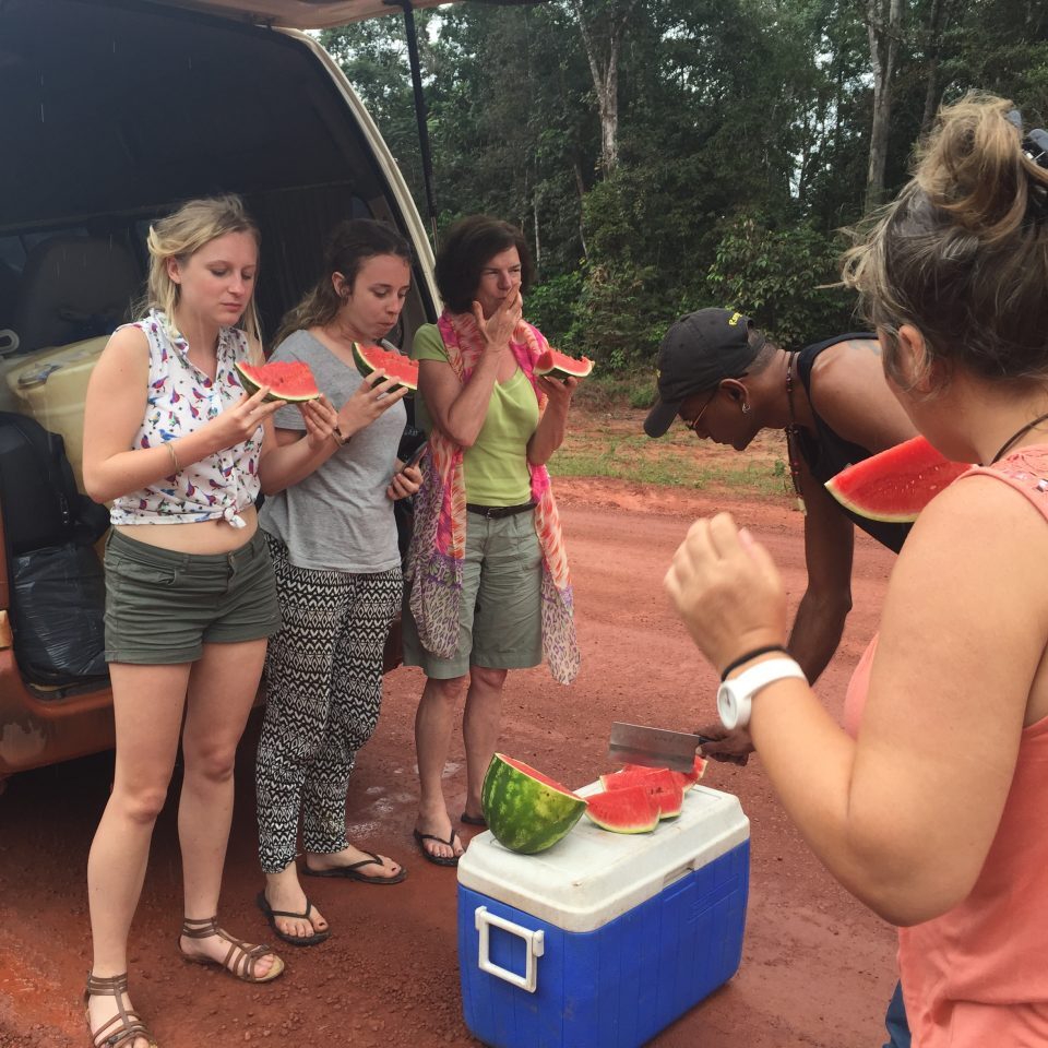 raleighvallen all suriname tours