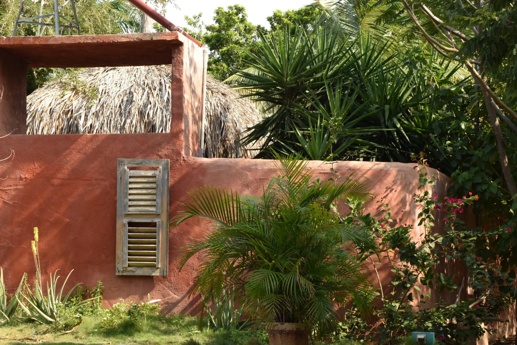 Mondi Lodge Garten