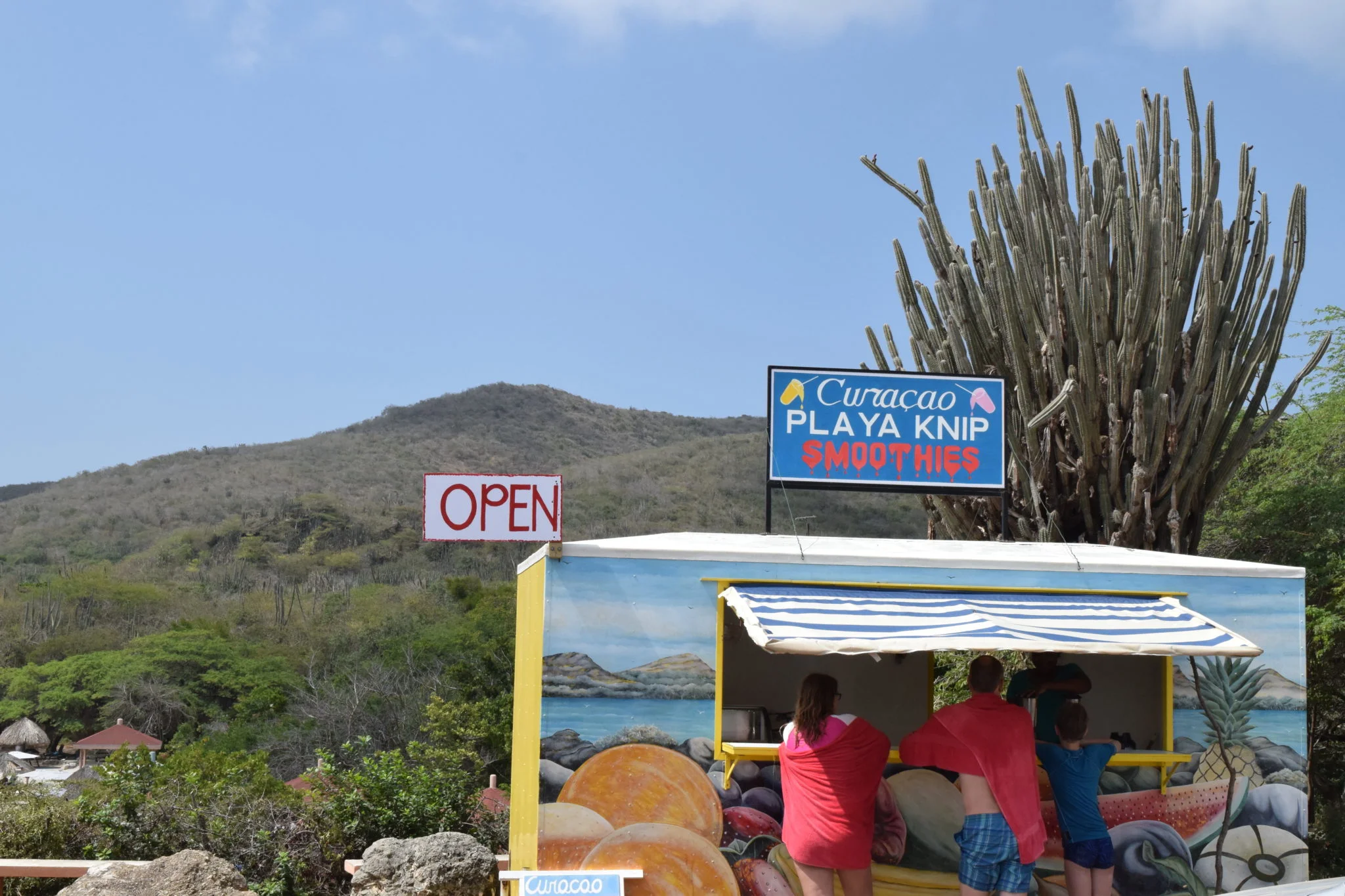 smoothies playa knip grote knip curacao