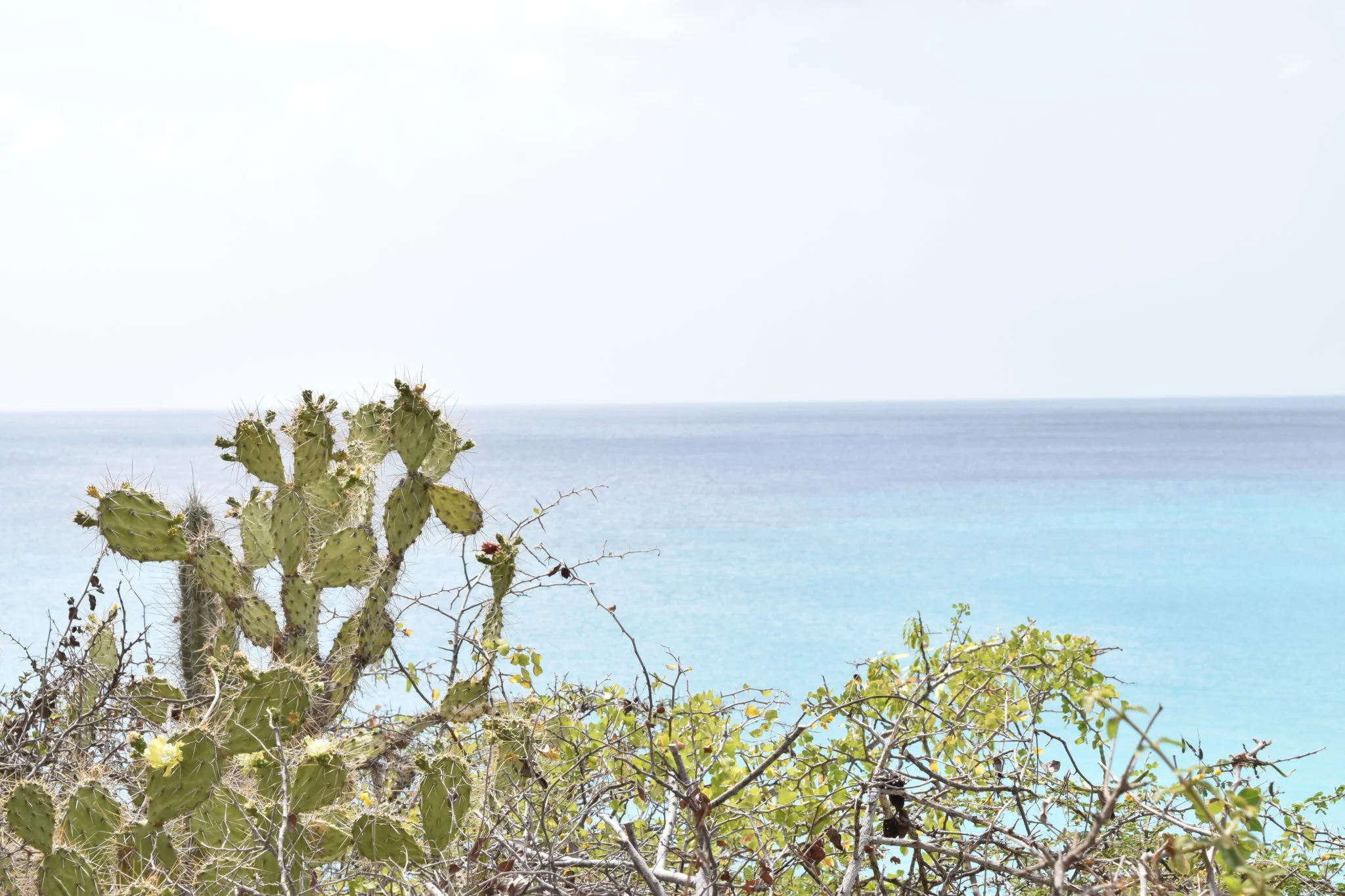 grote knip grote knip uitzicht curacao