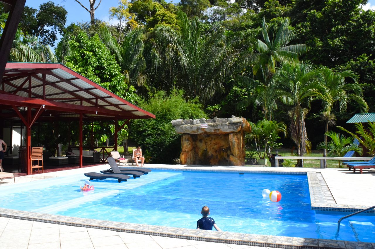 swimmingpool jungle resort anaula