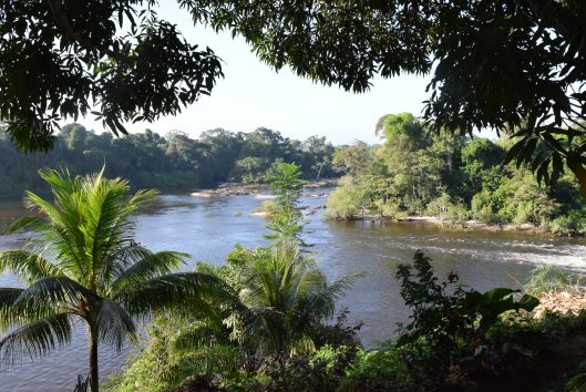 Lodgehopping Bovensuriname rivier lodgehoping bovensurinamerivier