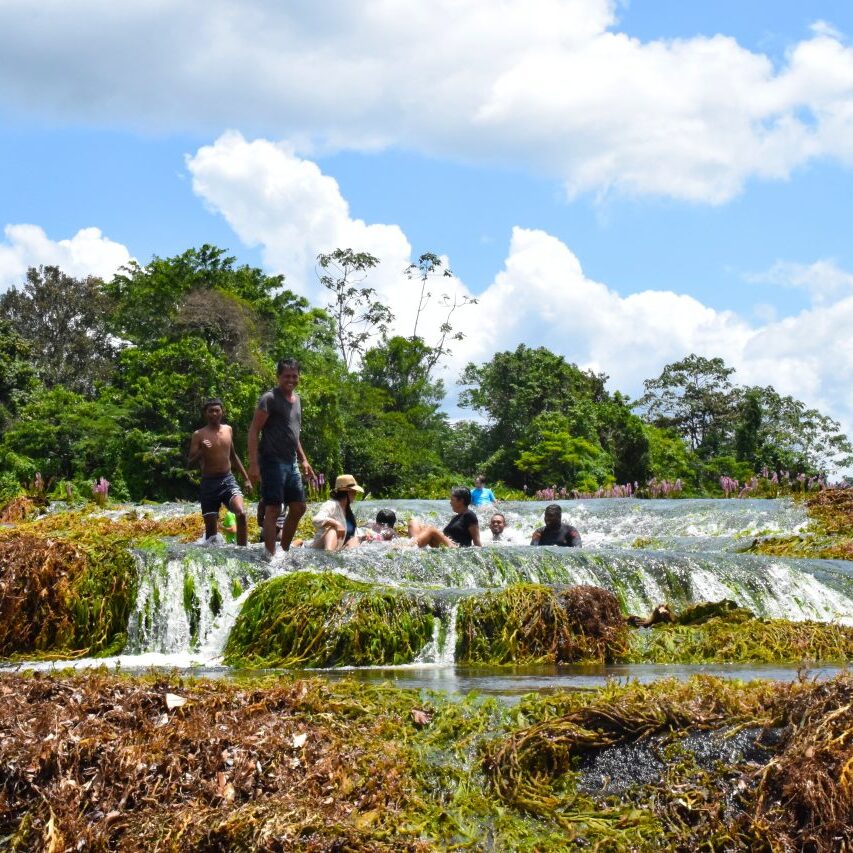 tapawatra sula bovensuriname rivier