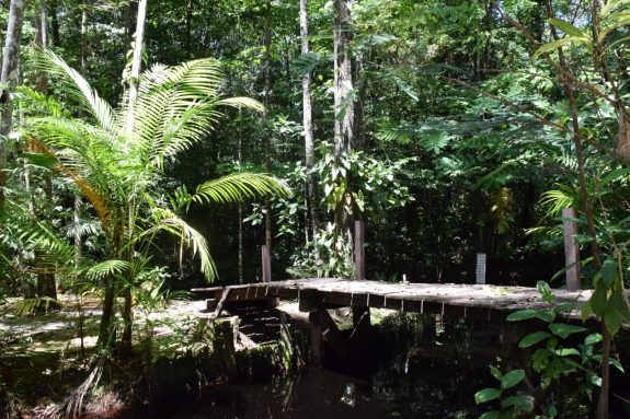 true paradise Palulu