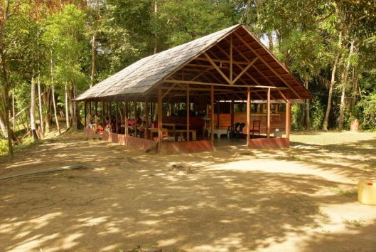 pingpe suriname jungle
