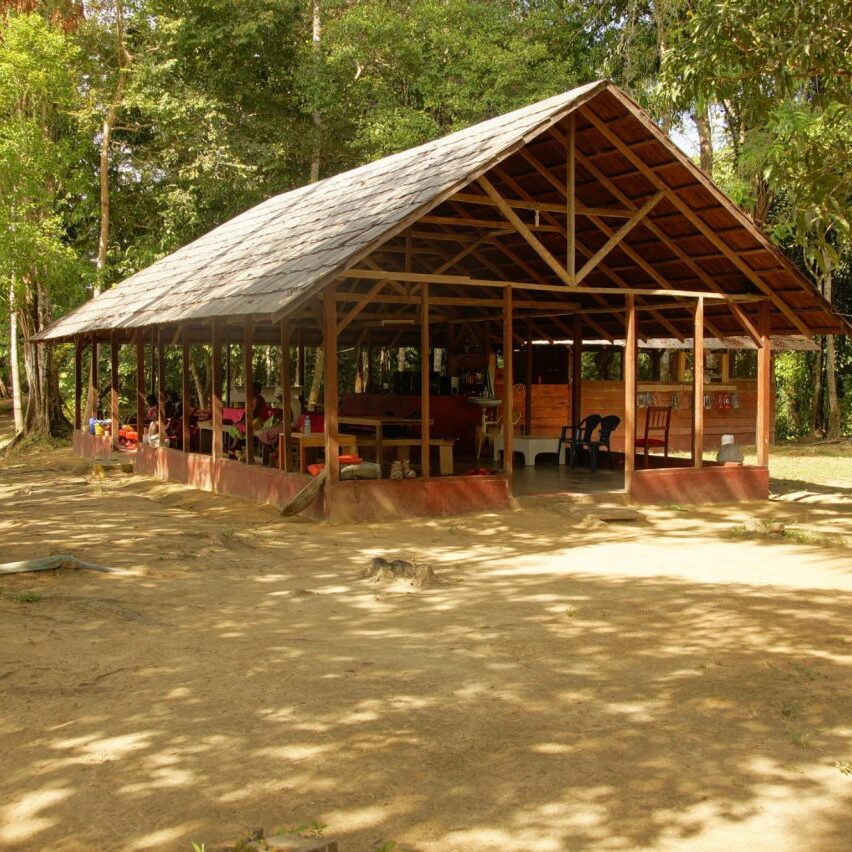 pingpe suriname jungle