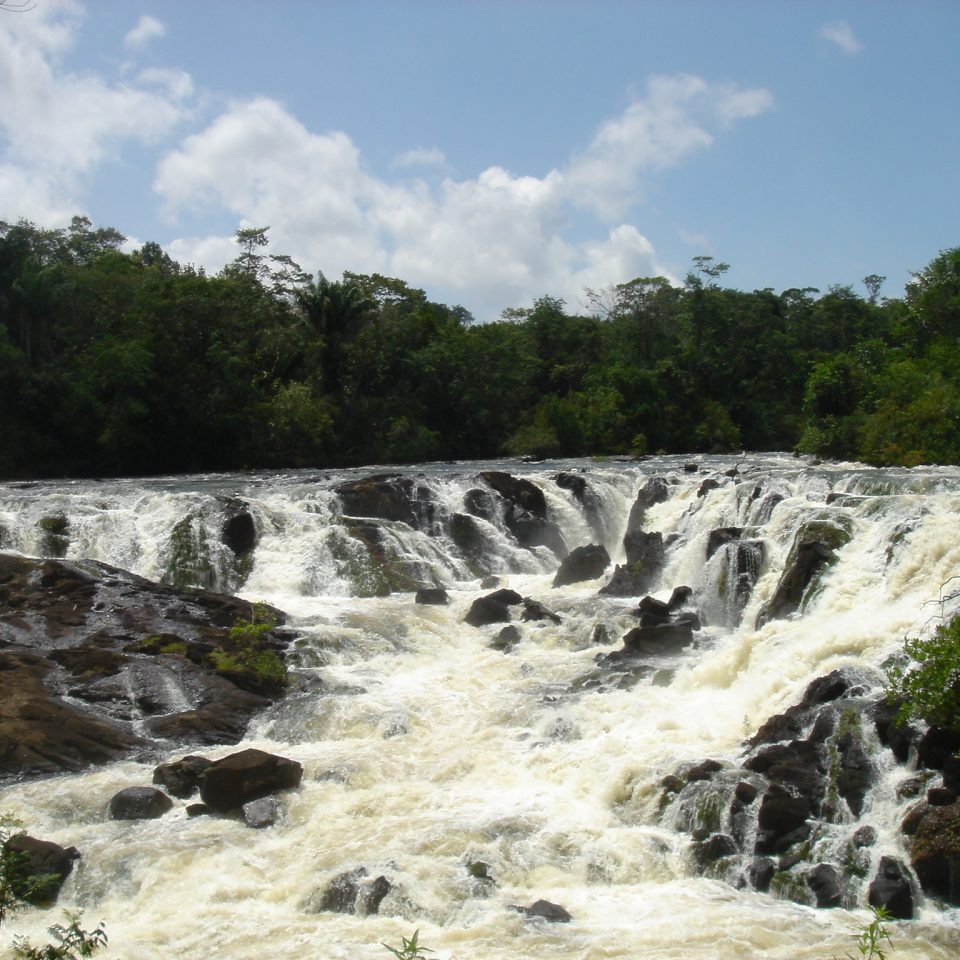 BlancheMarie&#;Apura