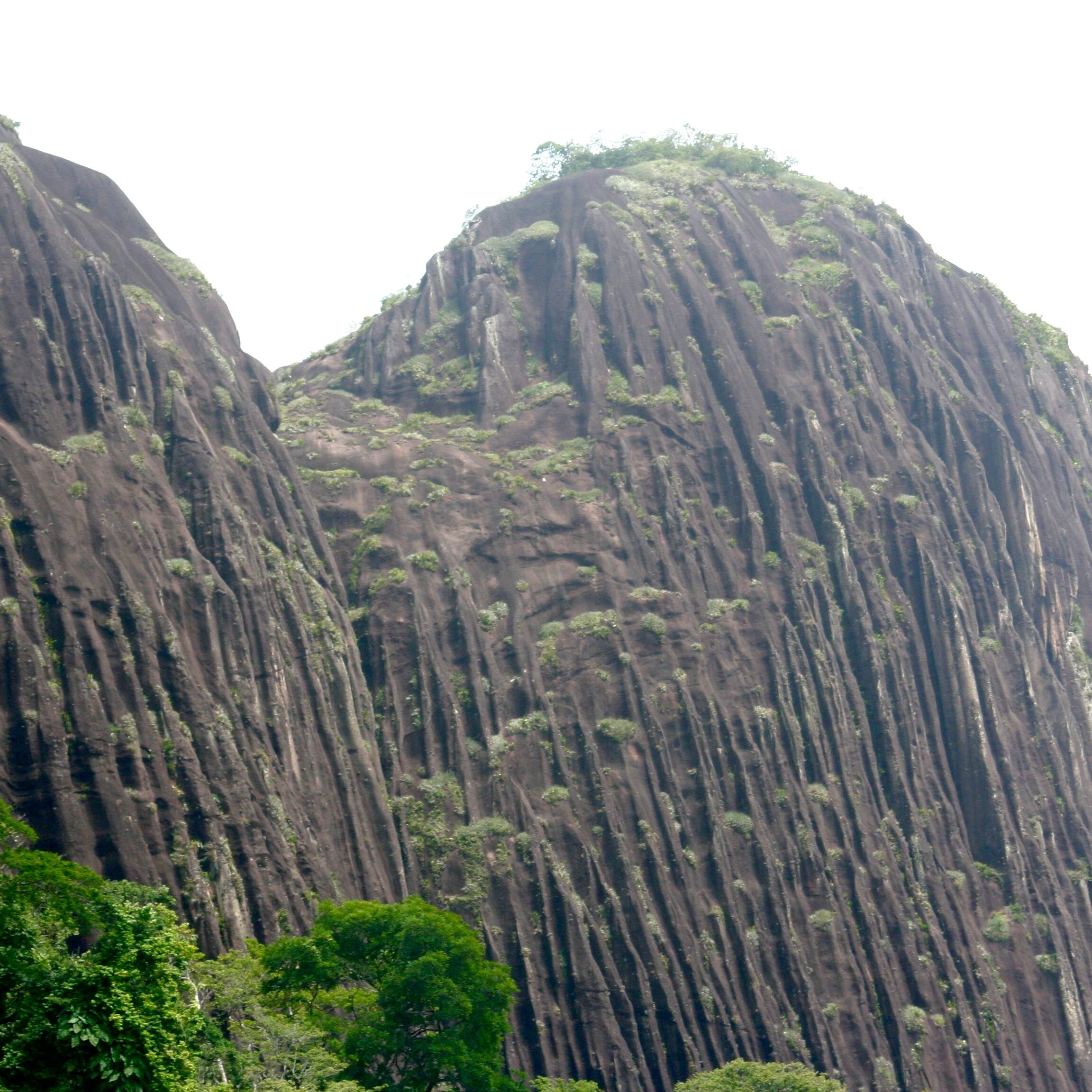kasikasima mets suriname