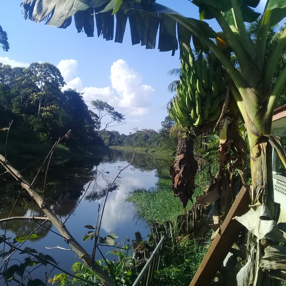 Guesthouse La Ressource Parakreek