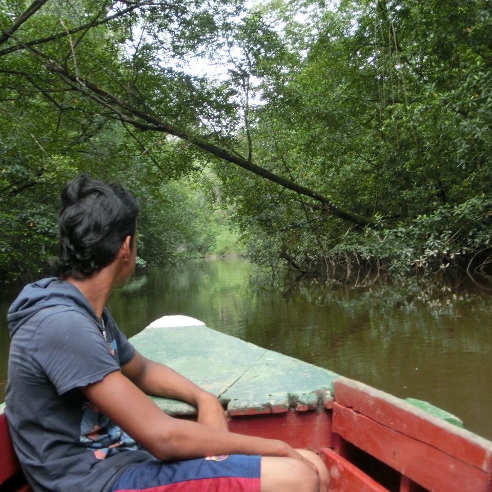 Warappa varen door kreek