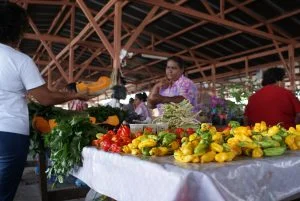 paramaribo market paramaribo