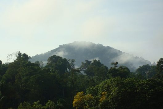 misty mountain kabalebo misty mountain kabalebo