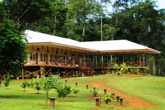 accommodatie inspiration point accommodatie inspiration point kabalebo suriname