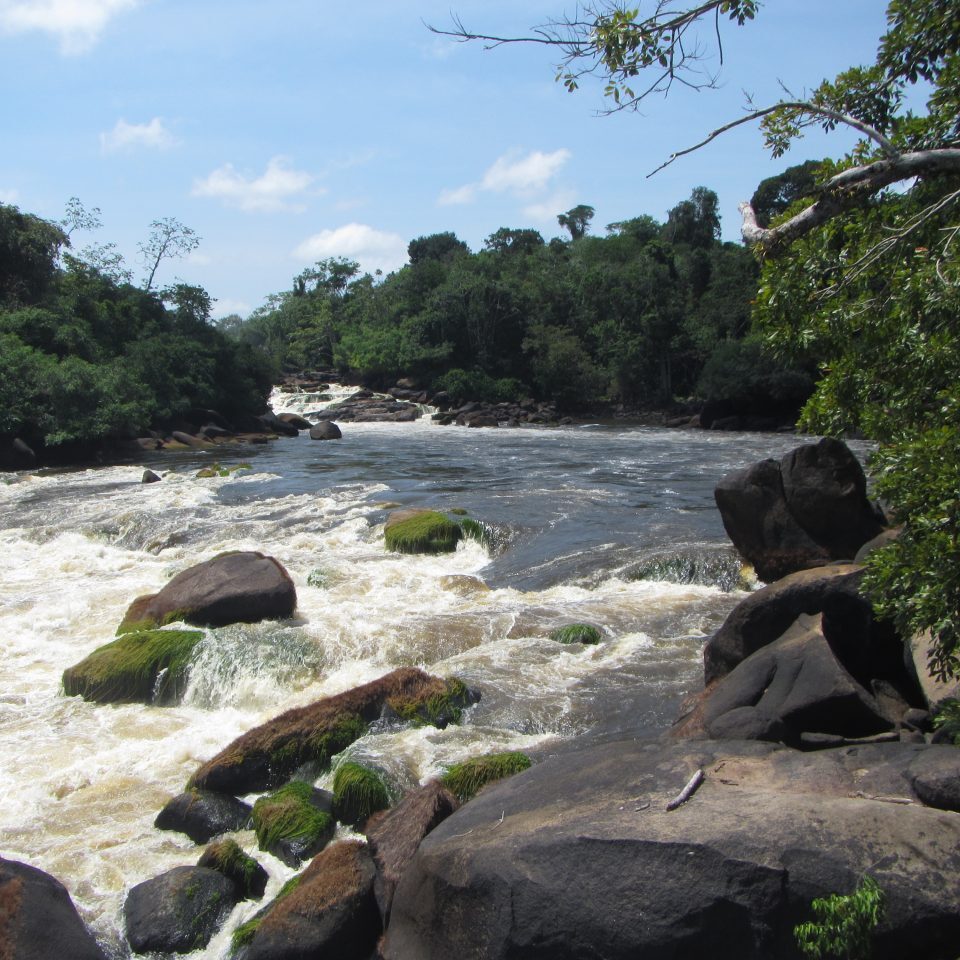 Wonotobo