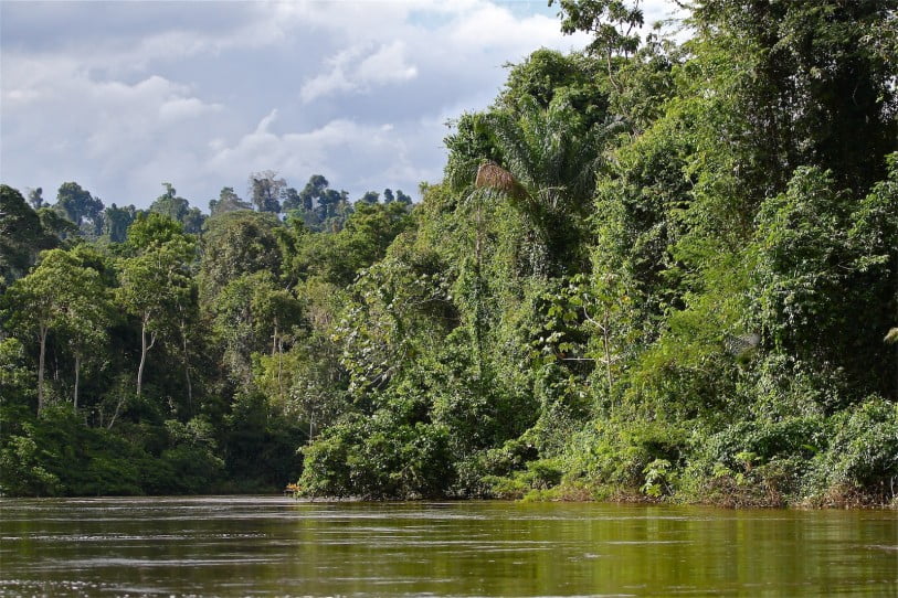 unspoiled rainforest Suriname