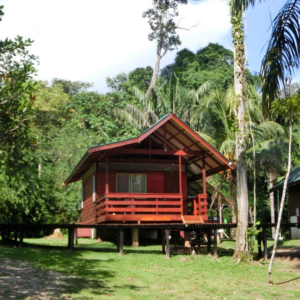 suriname holidays anaula