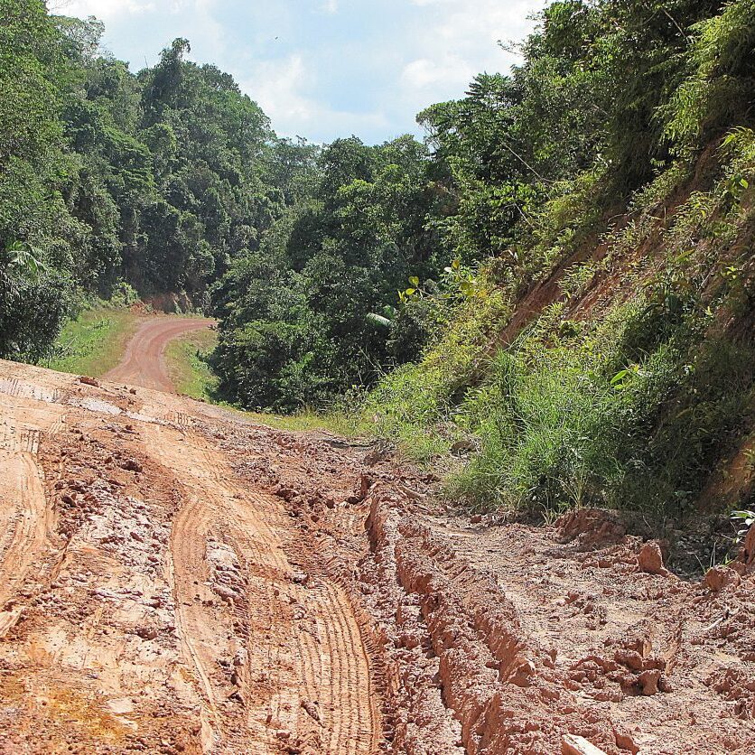 suriname holidays avanavero blanche marie