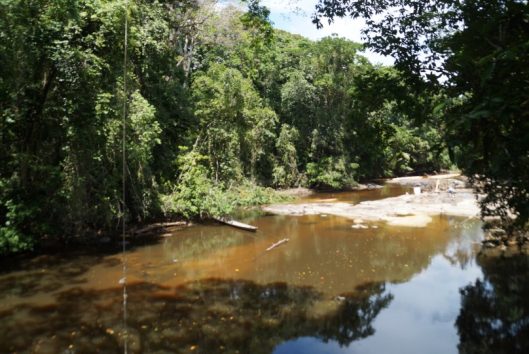 Fredberg suriname holidays
