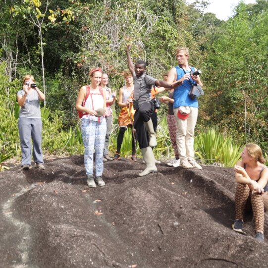 Fredberg suriname holidays