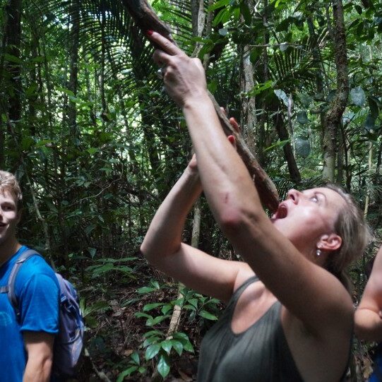 Fredberg suriname holidays