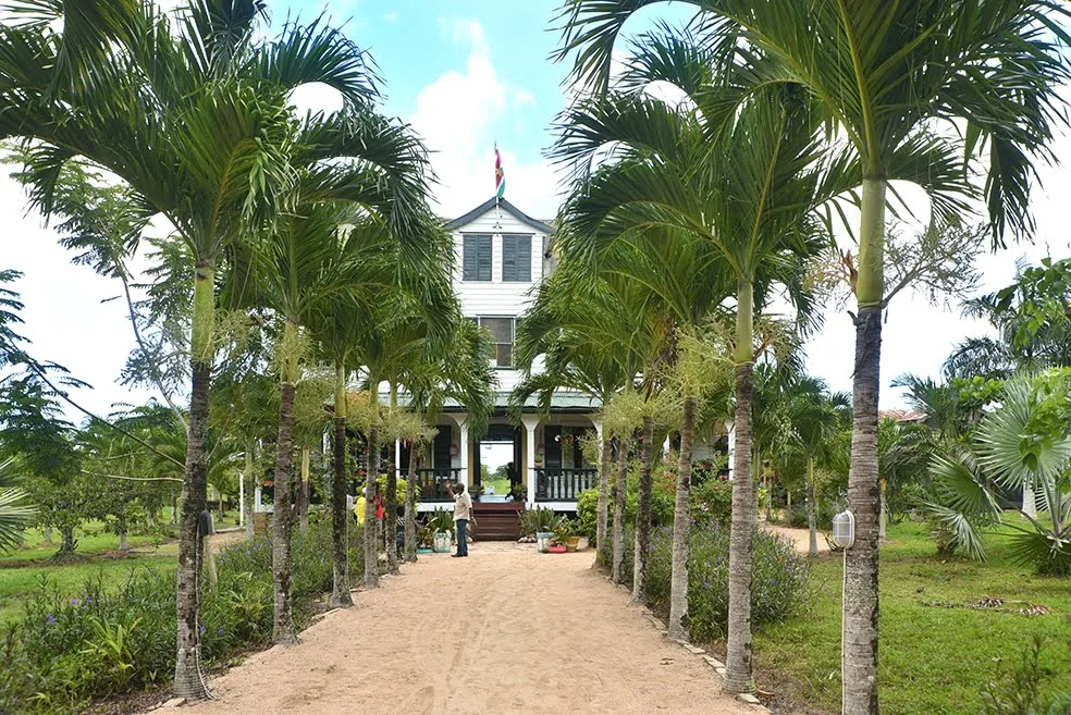 Suriname Tours